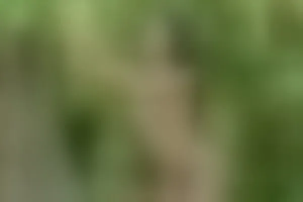 ebony girl nude outdoor