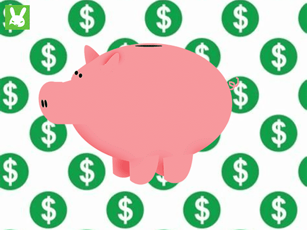 money pig
