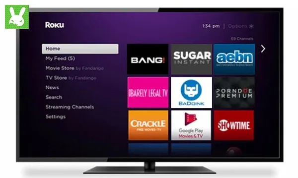 roku porn