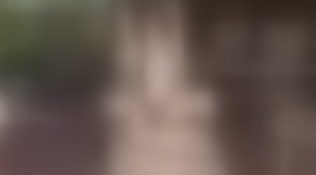 Site thumbnail