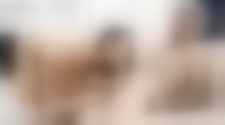 Site thumbnail
