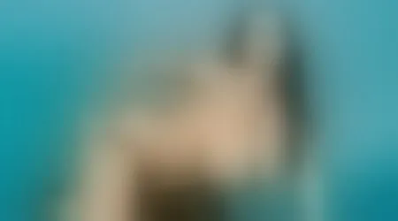 Site thumbnail