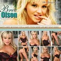 Bree XXX Porn Review