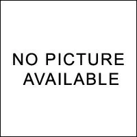 Ladyboy Pros Porn Review