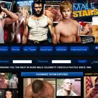 Male Stars Porn Review