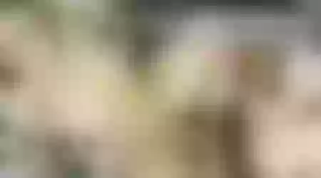 Site thumbnail