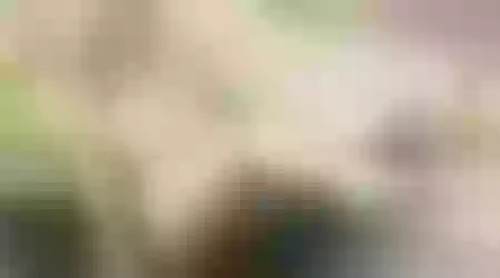 Site thumbnail