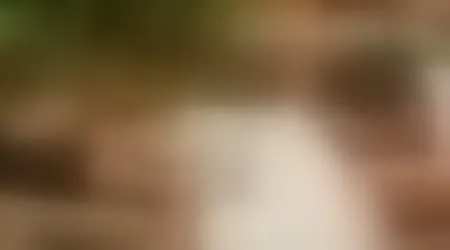 Wicked Alternative Erika Lust Porn
