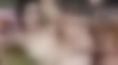 Site thumbnail