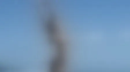 Site thumbnail