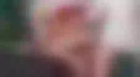 Site thumbnail