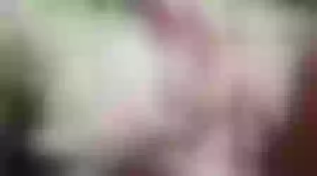 Site thumbnail