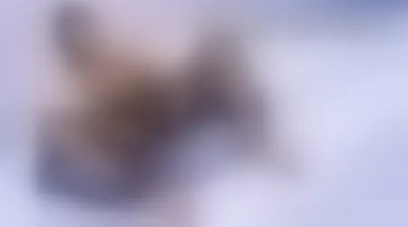 Site thumbnail