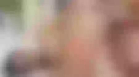 Site thumbnail