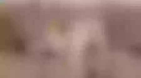 Site thumbnail