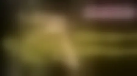 Site thumbnail