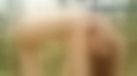 Site thumbnail