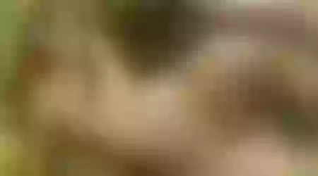 Site thumbnail