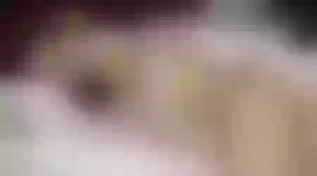 Site thumbnail