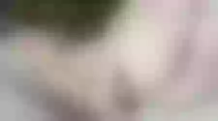 Site thumbnail