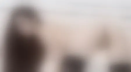 Site thumbnail