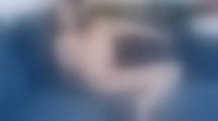 Site thumbnail