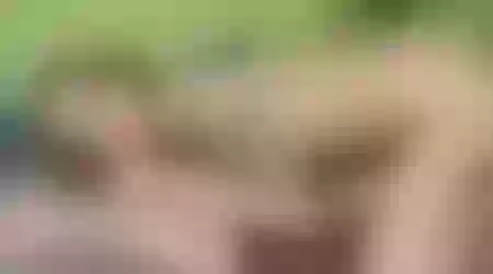 Site thumbnail
