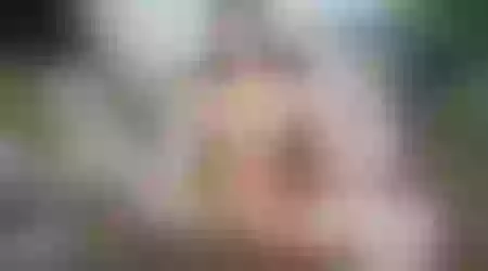 Site thumbnail