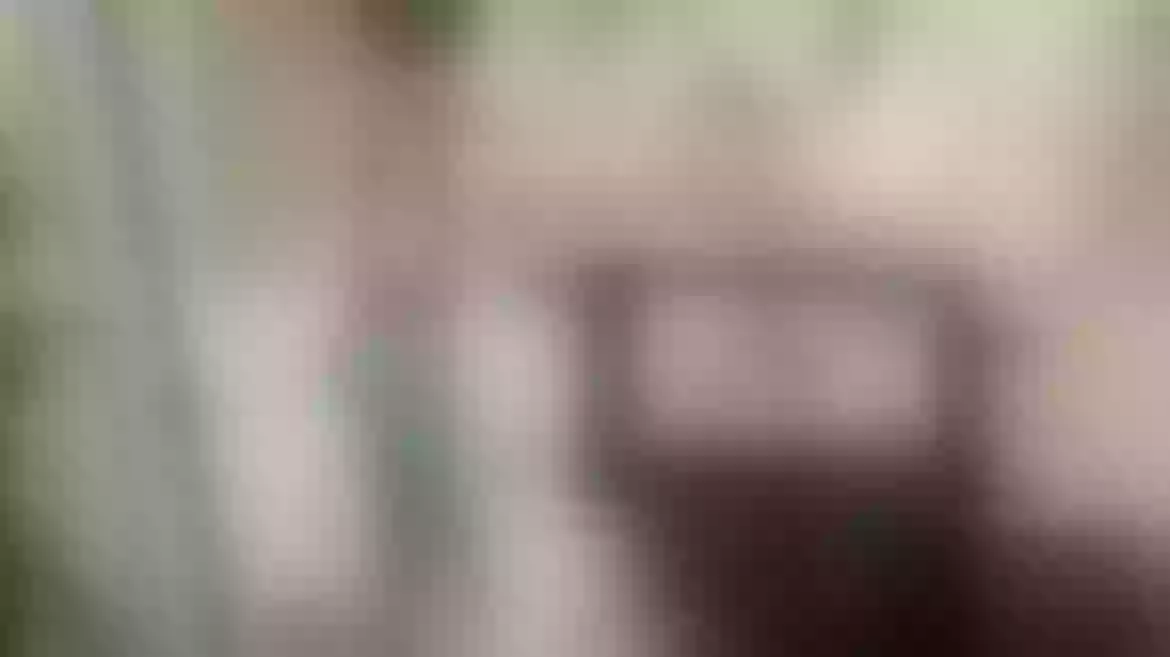 Pornstar Banner