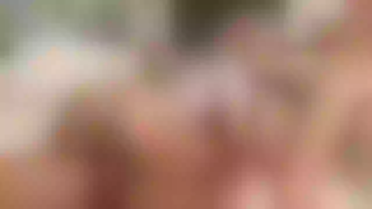 Pornstar Banner