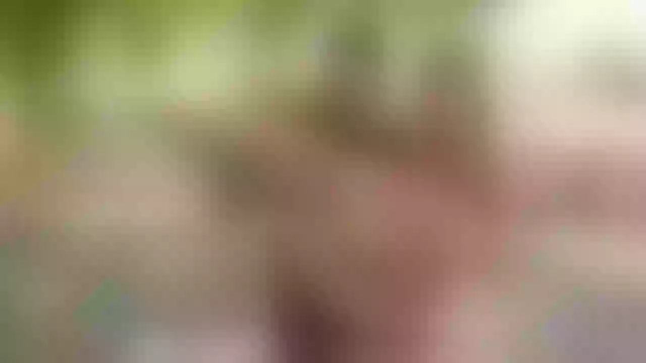 Site thumbnail