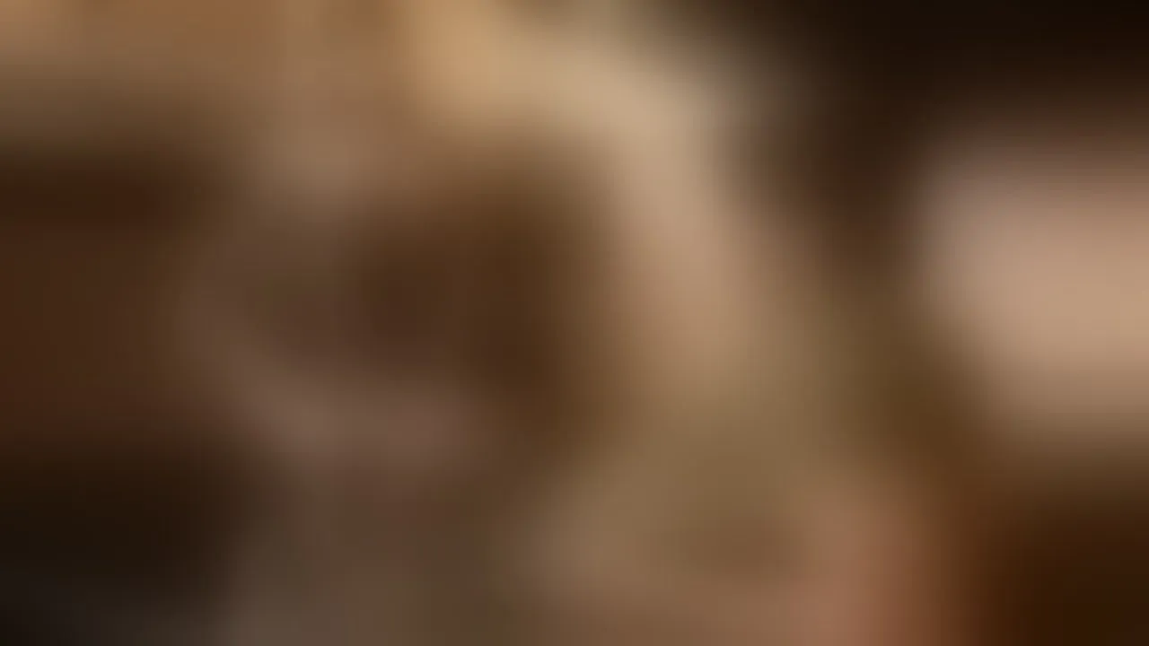 Pornstar Banner